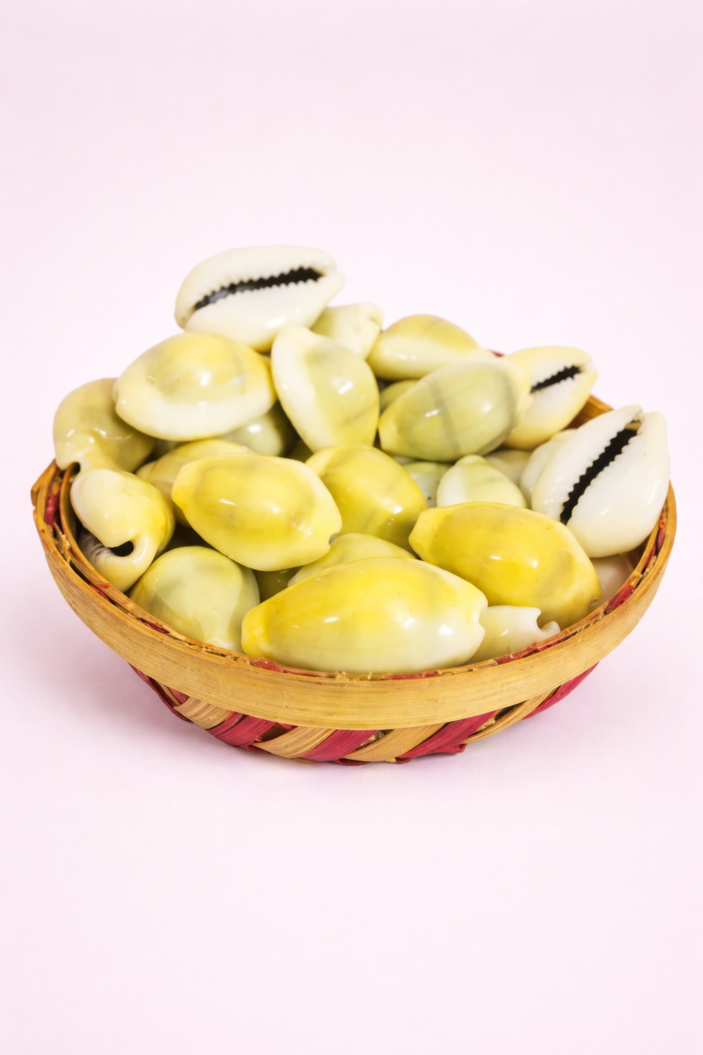 Original Kaudi Online – Natural Cowrie Shells