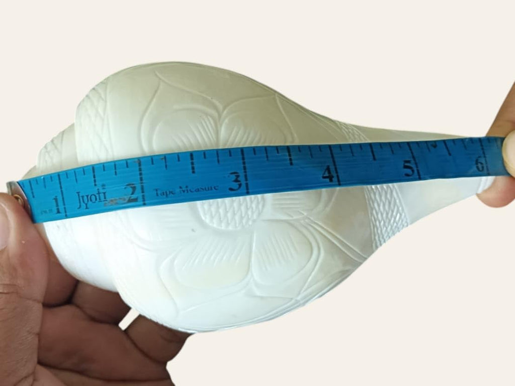 Divine Harmony: Jellybean Retails Vamavarti Original Engraved Loud Blowing Shankh with Brass Stand|Conch For Pooja -(Size Guarantee - Quality Matters) (6 Inch With Brass Stand)