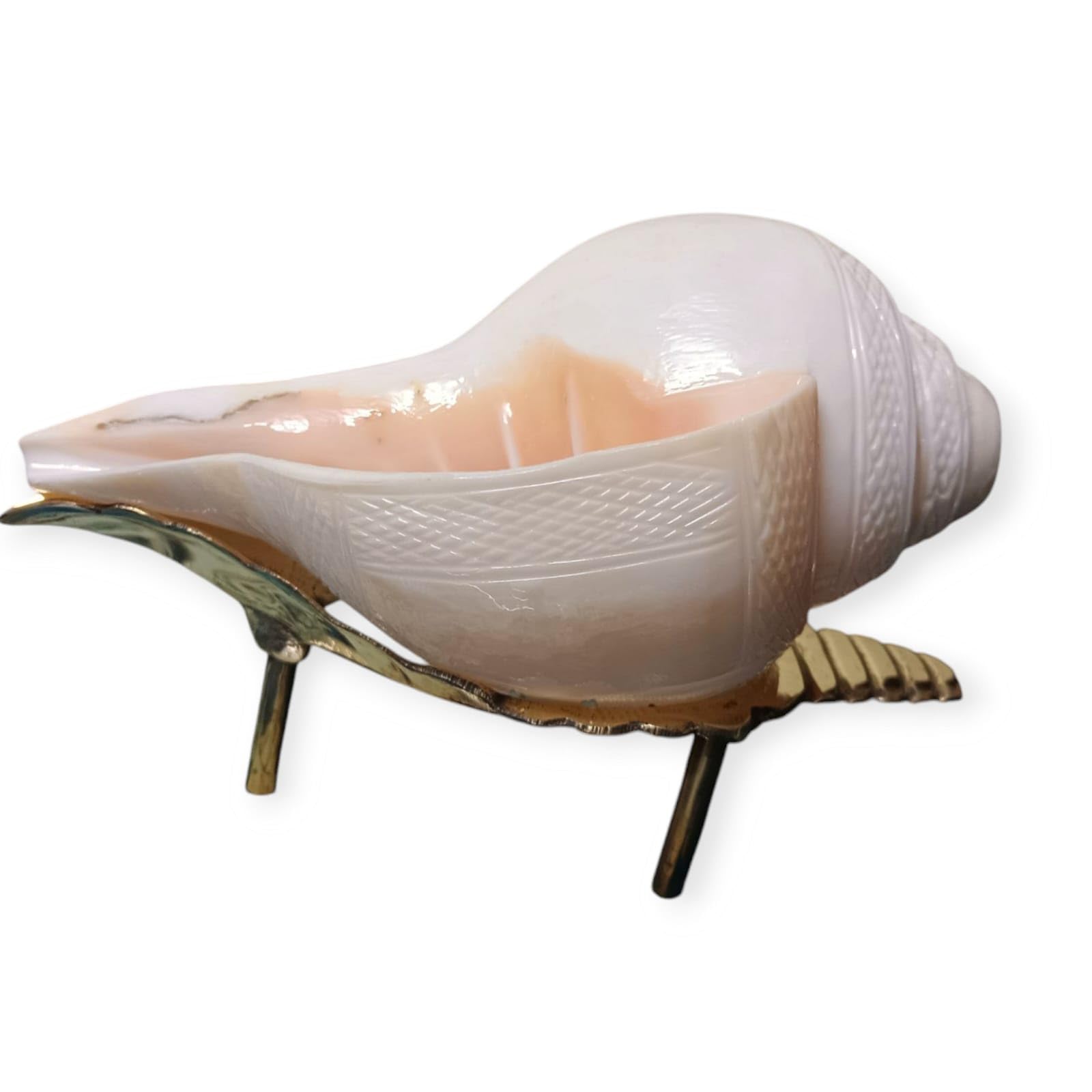 Divine Harmony: Jellybean Retails Vamavarti Original Engraved Loud Blowing Shankh with Brass Stand|Conch For Pooja -(Size Guarantee - Quality Matters) (7 Inch With Brass Stand)
