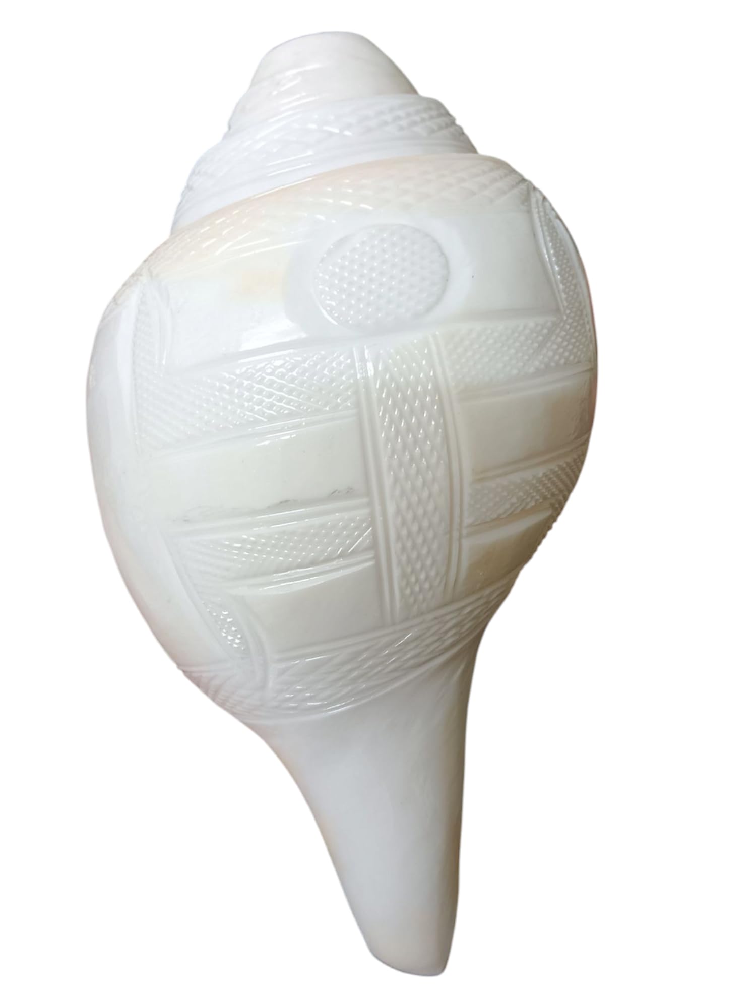 Divine Harmony: Jellybean Retails Vamavarti Original Engraved Loud Blowing Shankh with Brass Stand|Conch For Pooja -(Size Guarantee - Quality Matters) (7 Inch With Brass Stand)