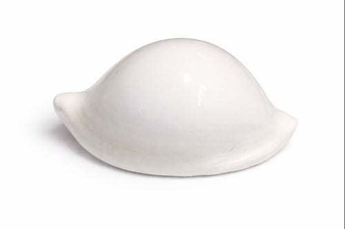 Budh Shankh (Mercury Shankh) for Pooja | Original Cowrie Shell for Astrology & Remedies